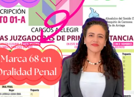 Cancela INE registro a jueza de primera instancia en SLP