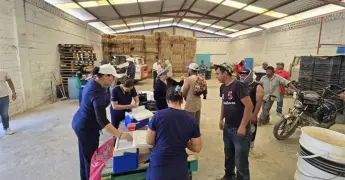 Vacunan contra la rubeola y sarampión