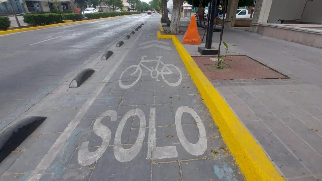 Foto: Omar Hernández/Pulso