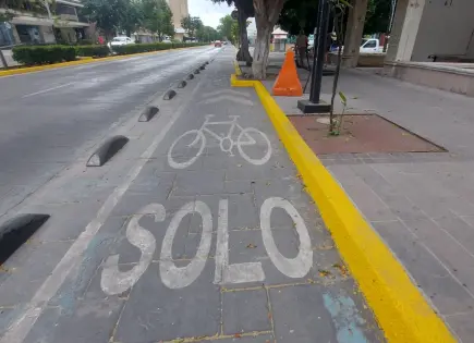 Más de mil 500 usan a diario ciclovía de Carranza