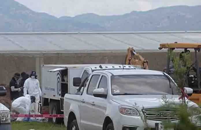 Exhuman 54 cuerpos de una fosa en Zapopan