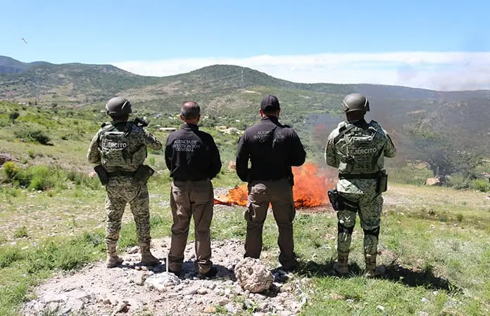 Incinera FGR drogas incautadas en operativos
