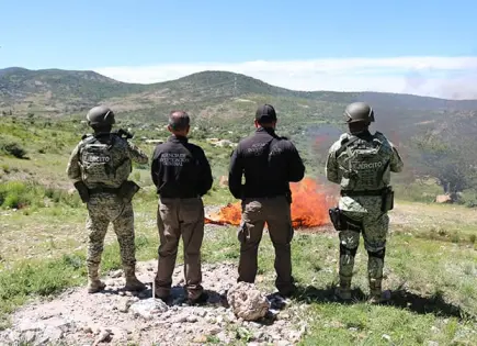 Incinera FGR drogas incautadas en operativos