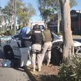 Se estampa patrulla contra un árbol