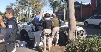 Se estampa patrulla contra un árbol