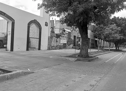 Se mantiene activo el programa "Expresión Capital"