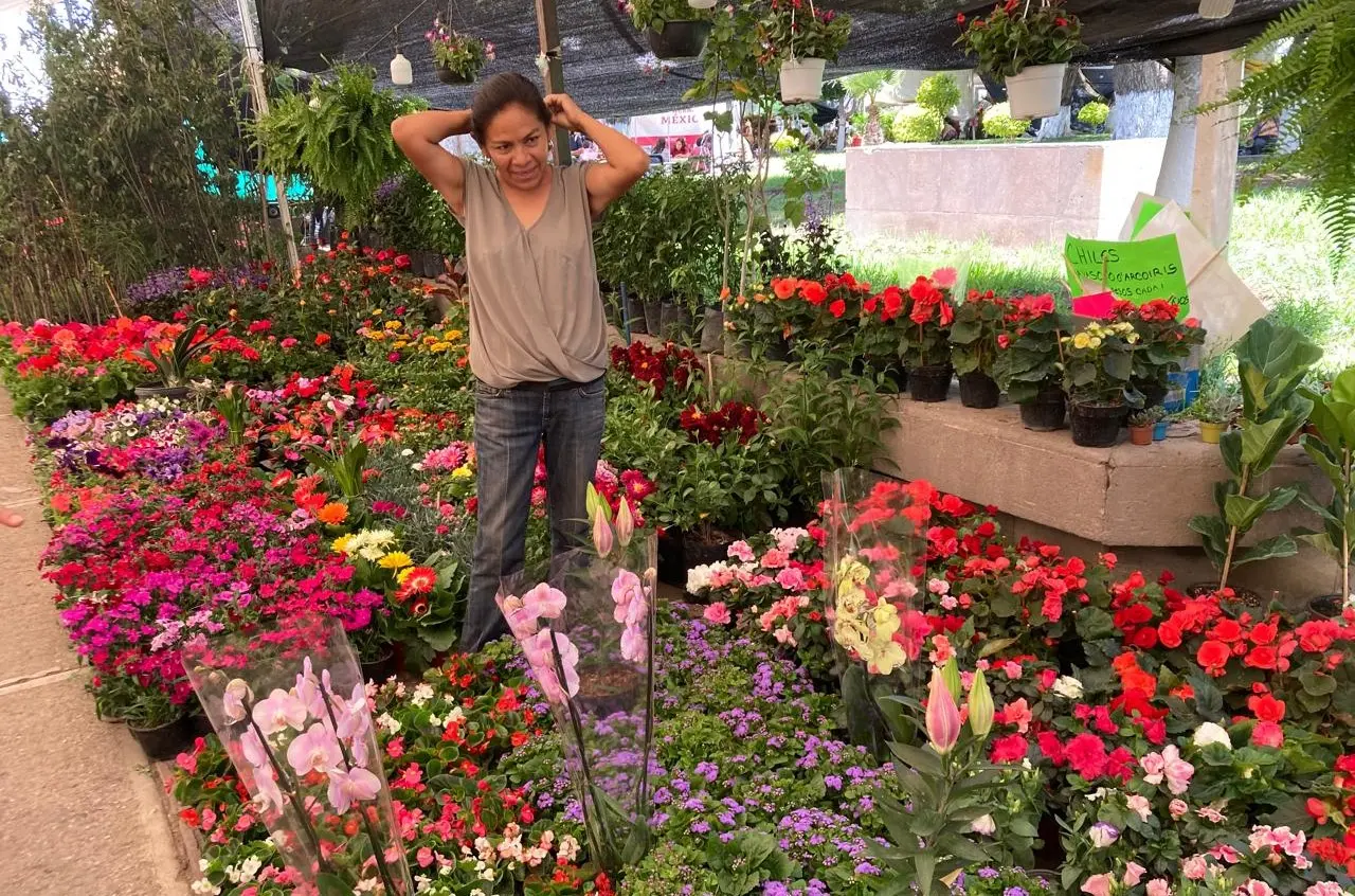 Invitan a últimos días de la Feria de las Flores en Soledad