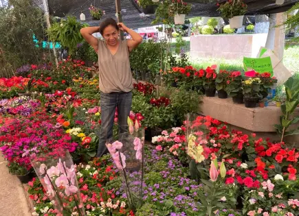 Invitan a últimos días de la Feria de las Flores en Soledad