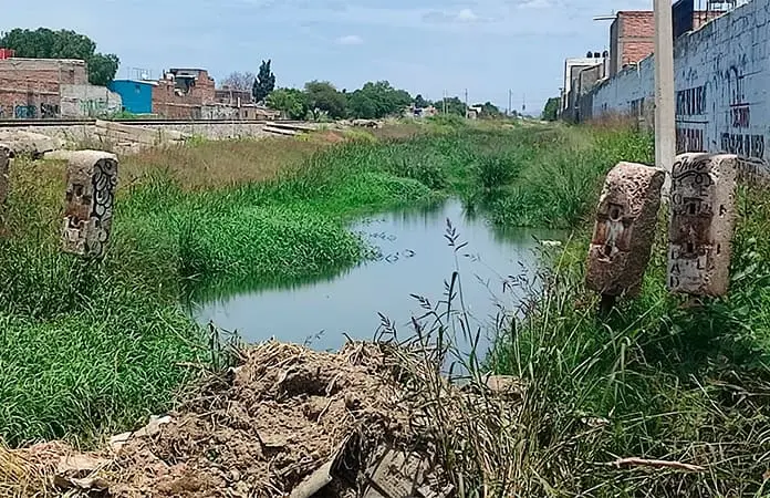 Aguas negras invaden calle y negocios.