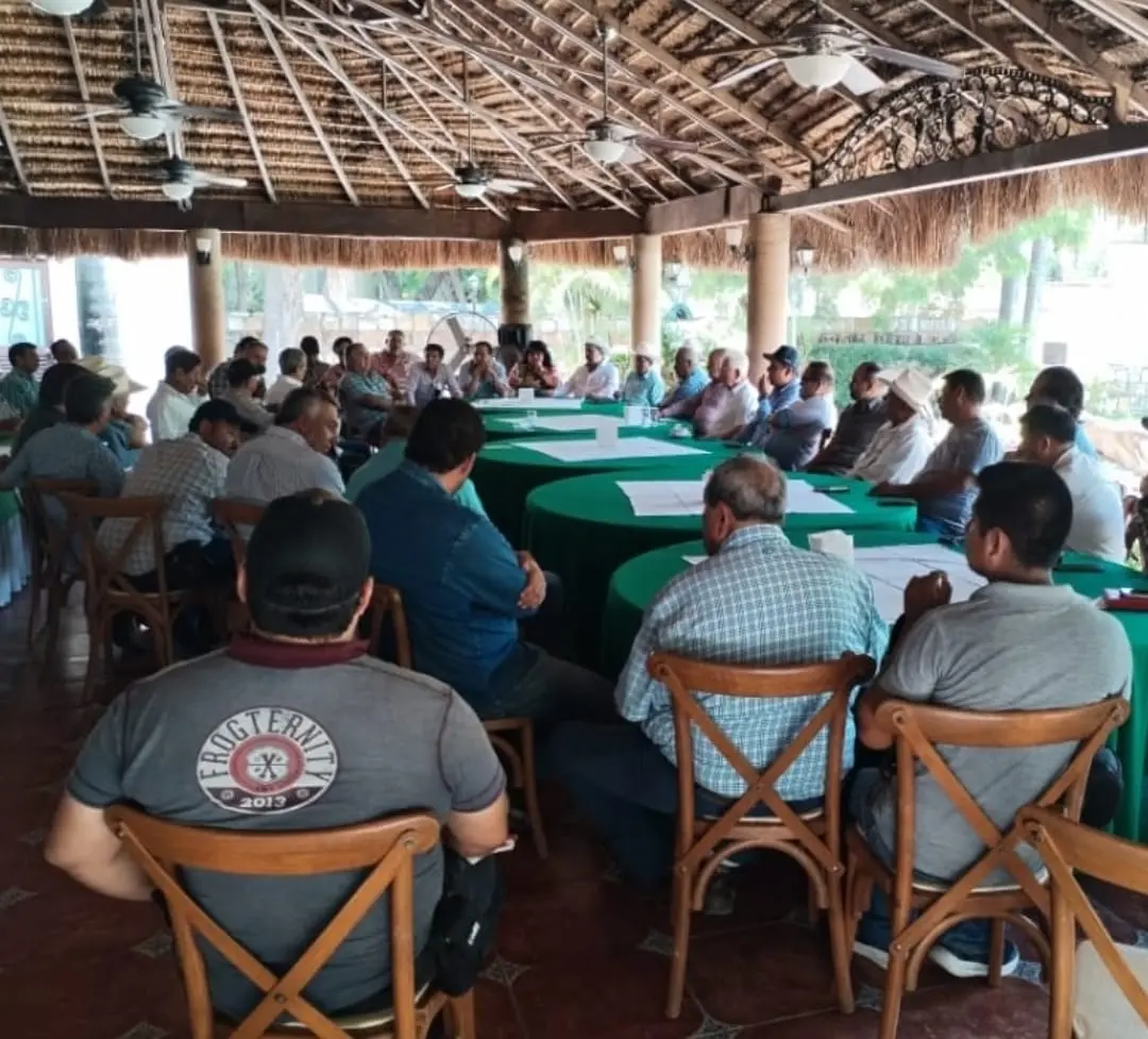 Frente Común de cañeros busca apoyo para recuperar precio del azúcar en México