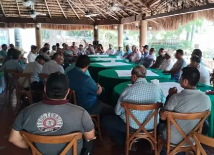 Frente Común de cañeros busca apoyo para recuperar precio del azúcar en México