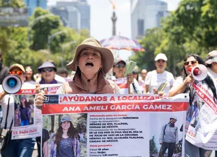 Ampliar búsqueda de Amelí, reclaman