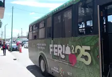 Habrá rutas de camión directas de Soledad a Fenapo Habrá rutas de camión directas de Soledad a Fenapo