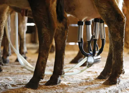 21 personas enferman en Florida por consumir leche cruda