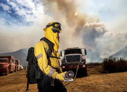 Incendio forestal en California avanza en Bosque Nacional Los Padres