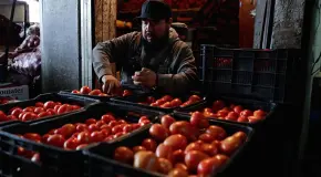 Aranceles provocarán "catástrofe alimentaria"