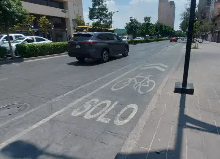 Ciclovía entre carriles de Carranza violaría NOM: Pedaleando