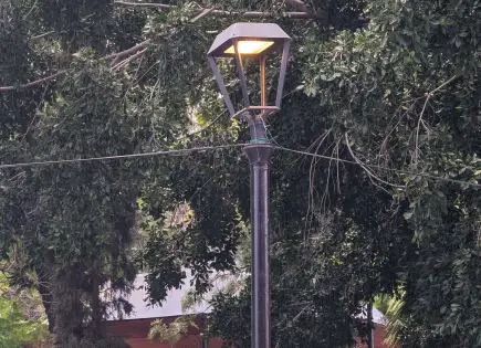 No apagan alumbrado en jardín de San Miguelito