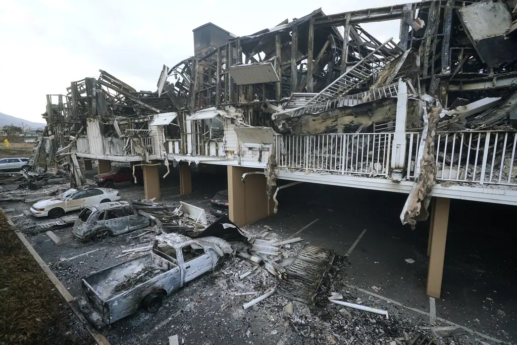 Estudios vinculan muertes y problemas de salud con incendios en Maui y Los Ángeles