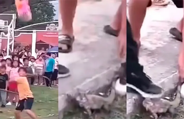 Niños rompen piñata con animales vivos en Campeche