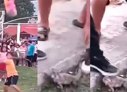 Niños rompen piñata con animales vivos en Campeche