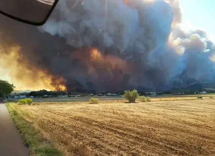 Enfrenta Francia su peor fuego forestal