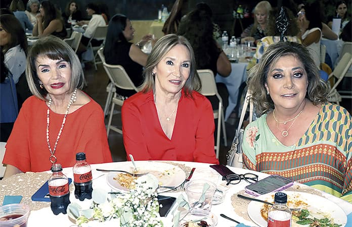 imagen carrusel