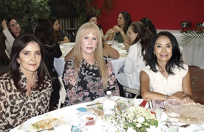 imagen carrusel