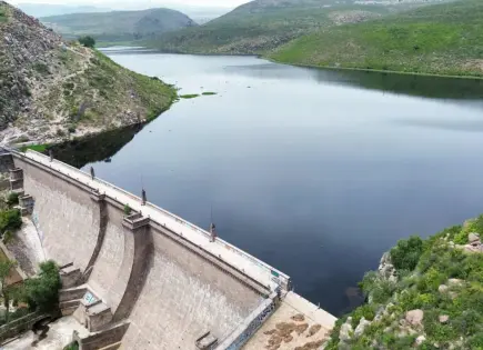 Desfogues liberan a presa San José de lirio acuático