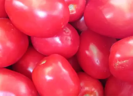 Golpe a economía familiar, alza en frutas y legumbres