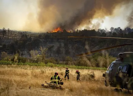 Incendio forestal en Francia mantiene a bomberos en alerta máxima