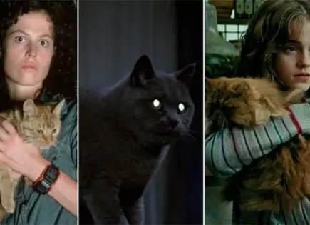 Día del Gato 2025: ¿cuáles son los felinos más famosos del cine?