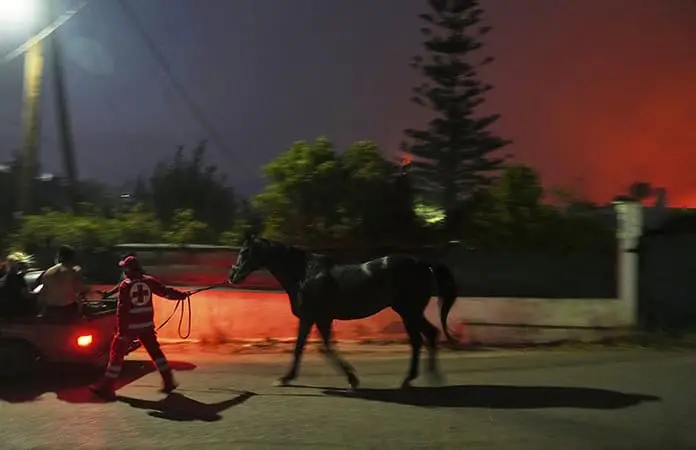 Incendio forestal arde en Atenas; un muerto