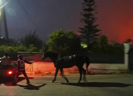 Incendio forestal arde en Atenas; un muerto
