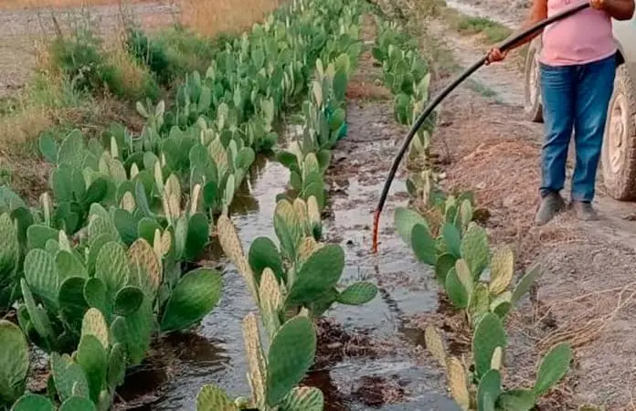 Canales dañados por obras y lluvias