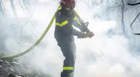 Calor eleva alertas en el sur de Francia