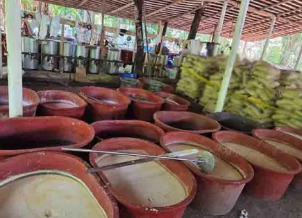 Decomisan casi 5 toneladas de drogas