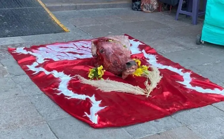 Personas hasta ahora no identificadas dejaron una cabeza ensangrentada de res en el exterior de la Catedral