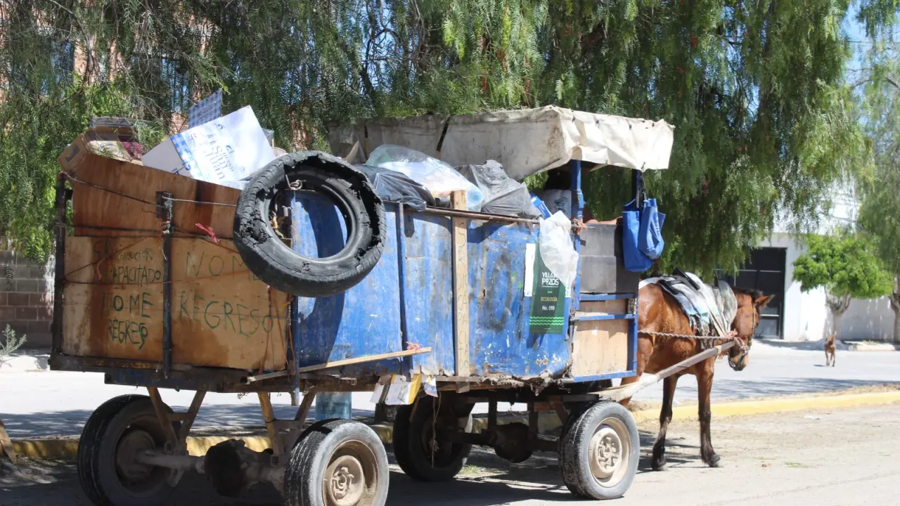 Recolectores de Villa de Pozos podrían obtener multas de más de 50 mil pesos