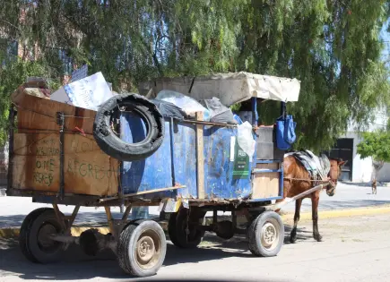 Recolectores de Villa de Pozos podrían obtener multas de más de 50 mil pesos