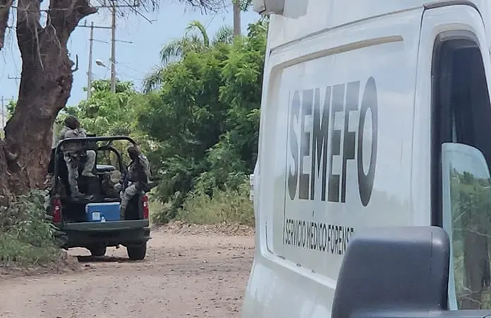 Hallan 4 cuerpos en Navolato, Sin.