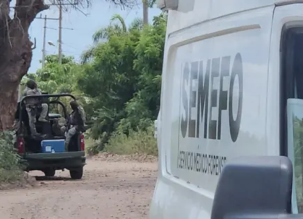 Hallan 4 cuerpos en Navolato, Sin.