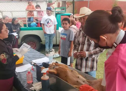 Anuncian jornada de servicios gratuitos