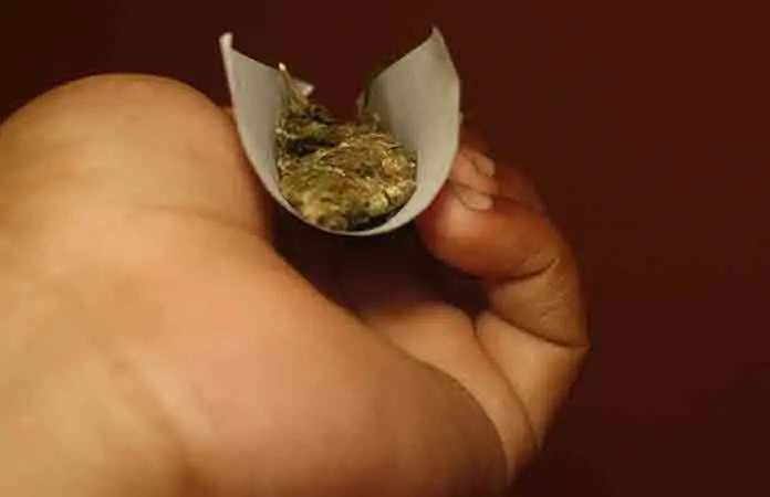 Salud identifica marihuana como droga principal en SLP