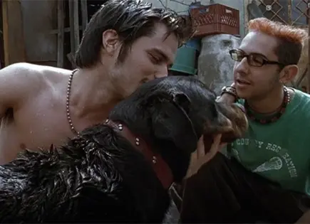 “Amores Perros” en el Auditorio Rafael Nieto