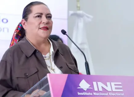 Guadalupe Taddei: INE no participará en Comisión de reforma electoral
