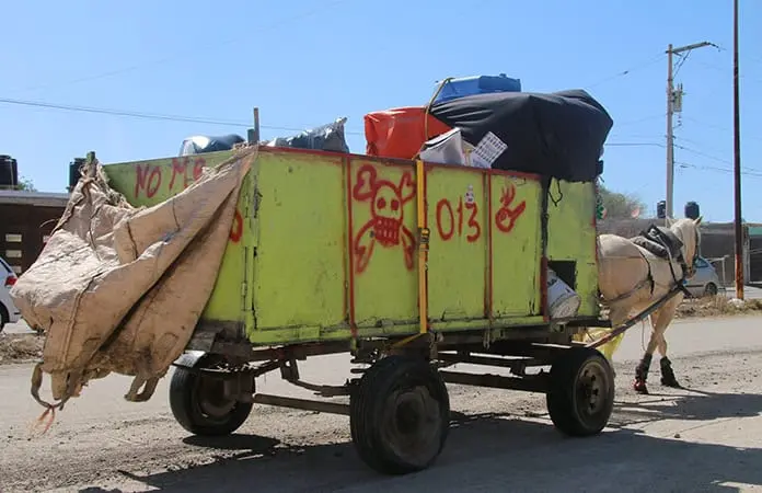 Aseguran carreta con tracción animal