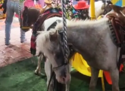 Seguirán actividades con animales en Fenapo con supervisión: SGG