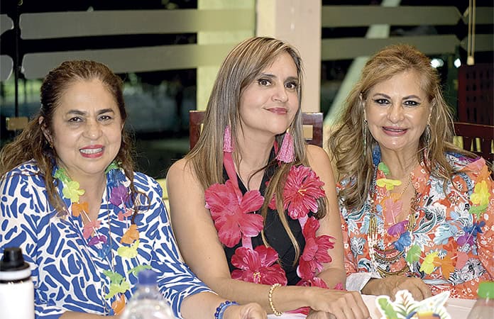 imagen carrusel