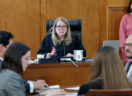 Loretta Ortiz: Suicida abordar prisión preventiva con la actual Corte